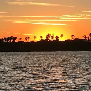 Meet your Posher, Allen